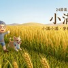 小滿節氣|身體開始覺得悶了嗎?