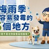 梅雨季最容易發霉的5個地方！你家中了幾個？