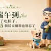 端午到，除了吃粽子，這 5 個居家細節也別忘了