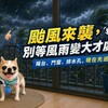 颱風來襲，別等風雨變大才處理！居家防颱先巡這幾個地方