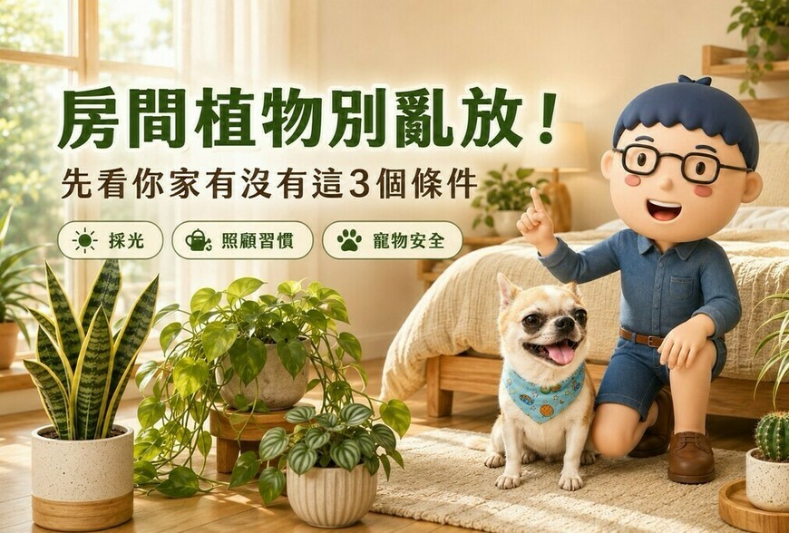 房間植物別亂放！先看你家有沒有這3個條件