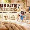 床墊多久該換？需要翻面嗎？一次搞懂床墊保養