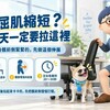 髖屈肌縮短？久坐族每天都該拉這裡