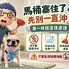 馬桶塞住了，先別一直沖！第一時間這樣處理