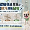 浴室磁磚縫黑黑的,是髒污還是發霉?3種狀況教你分辨,清潔別再猛刷!