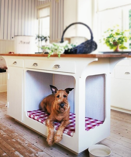 寵物住宅設計，讓家中寶貝住得舒適！
