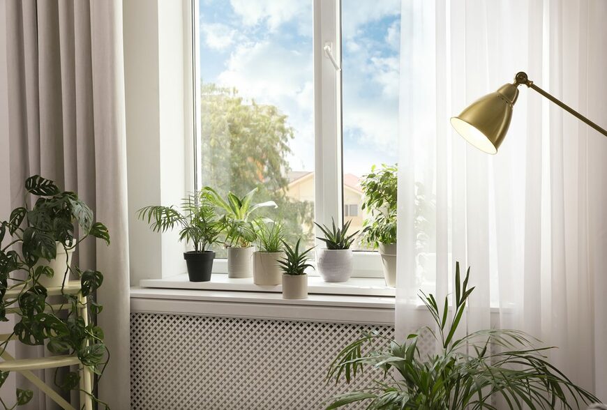 家裡日光不足，可以用電燈代替太陽照射植物嗎？