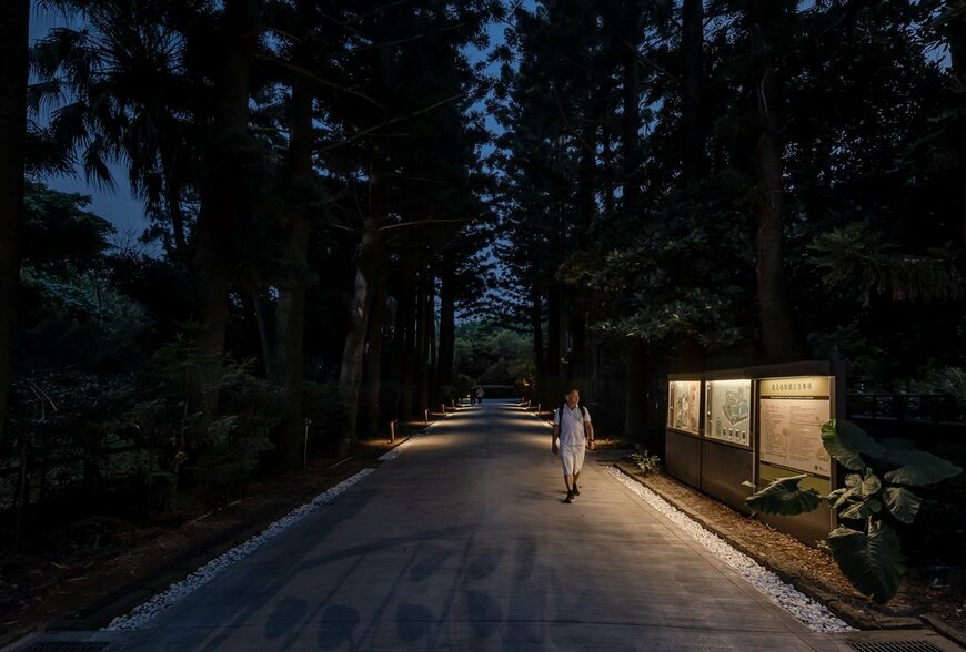 還植物月光椰影的夜！台北植物園植光步道正式亮相