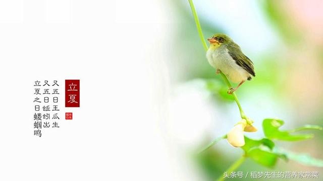 迎立夏！命理師解析習俗與禁忌