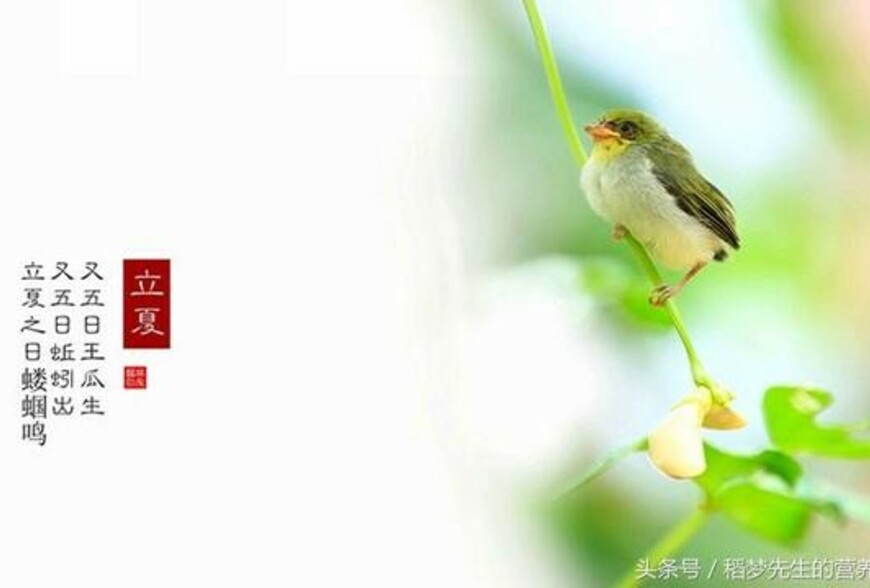 迎立夏！命理師解析習俗與禁忌
