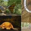 詮釋山海間的真實建築！第四屆『島嶼構竹』新銳建築展移師台東