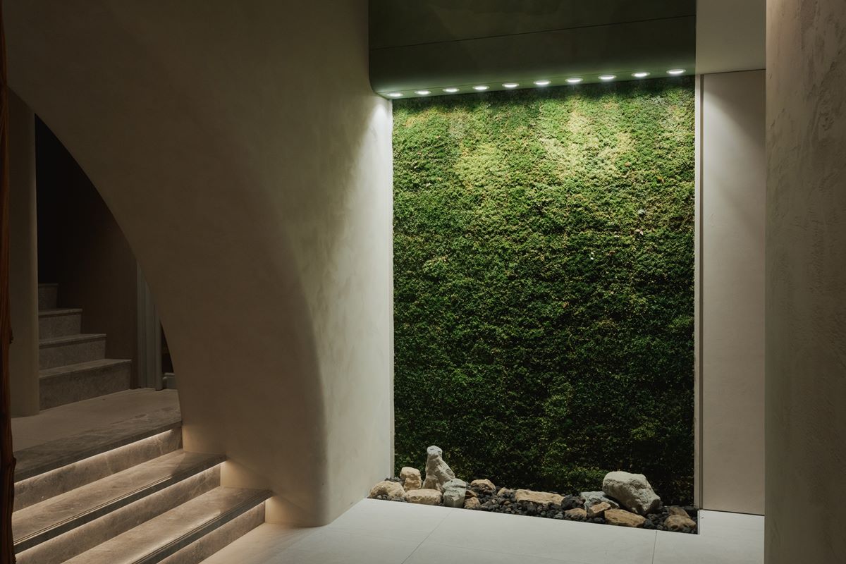 台灣第一座「活苔蘚牆」！MOSSLEE 革新綠建築想像