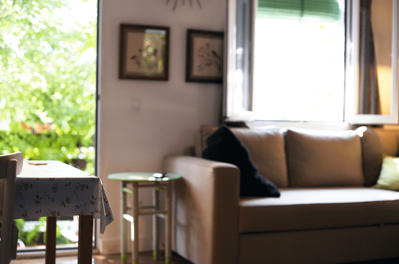 坐北朝南 vs. 坐南朝北怎麼選？專家深度分析採光、通風、房價「3 大差異」與台灣南北決策指南