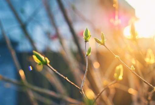 【風水特輯】立春到！食衣住行育樂開運養生與禁忌一次看