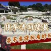 【風水特輯】想提早掃墓，要不要看日子？命理師：7狀況需要