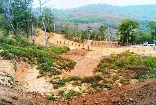 只是整地種薑竟挨罰30萬！山坡地沒申請就動工，罰單等你收