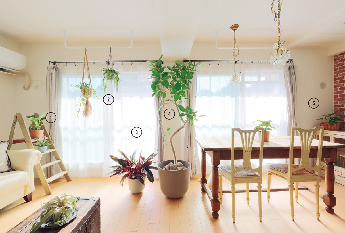 開啟你的「植」覺！5招打造有層次的綠意空間