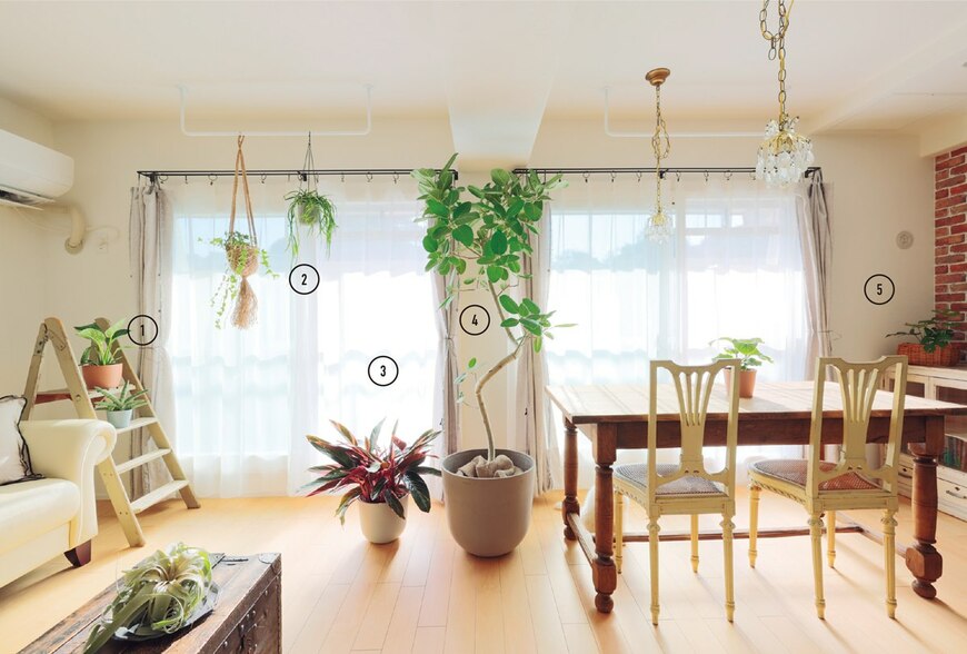 開啟你的「植」覺！5招打造有層次的綠意空間