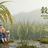 春天的最後一封情書 ｜穀雨