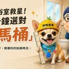 小宅生存術：馬桶裝修挑選指南