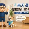 雨天過後，為什麼家裡會有霉味？