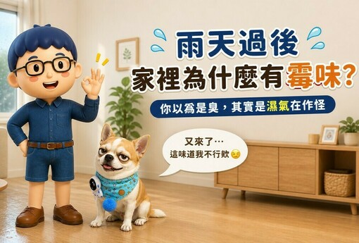 雨天過後，為什麼家裡會有霉味？