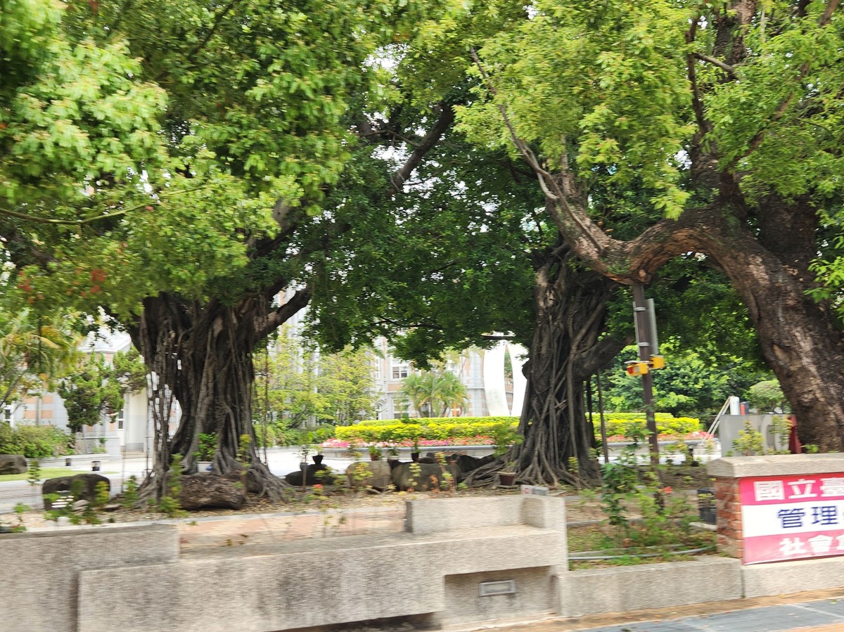 繼承、遺囑取得土地規定大不同！漏掉這件事無法過戶