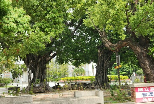 繼承、遺囑取得土地規定大不同！漏掉這件事無法過戶