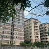 政府撒補貼、房東喊稅重、房客嫌租貴：台租屋市場到底誰該負責？
