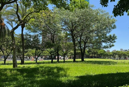 省遺產稅卻賠了地價稅！竹科退休主管「房土分贈」兄妹 下場慘：5,000元變2.5萬