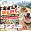 新北林口出招管遊蕩犬！逐戶清查28戶　6隻無主犬成功安置
