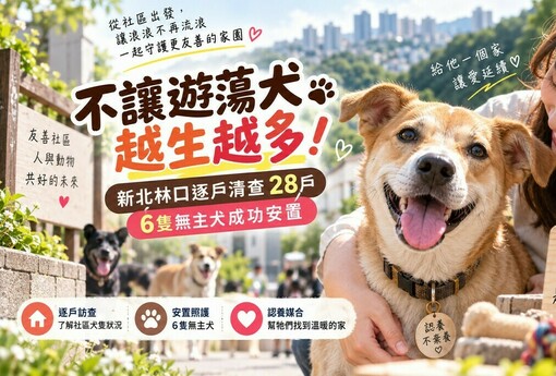 新北林口出招管遊蕩犬！逐戶清查28戶　6隻無主犬成功安置