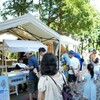 搭捷運逛鶯歌!三鶯線「捷運生活日」登場 運量突破220萬人次