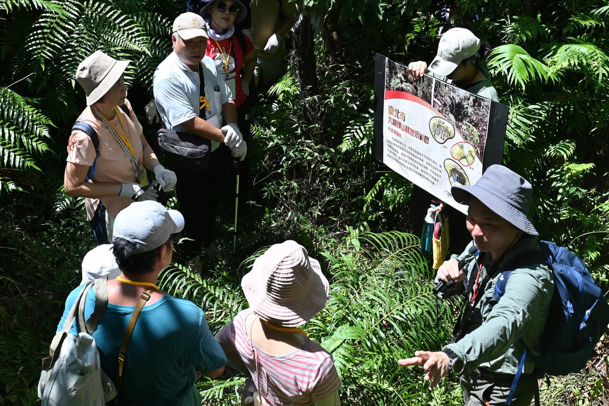 大崙頭山森活體驗課10/2開放報名 親子走進台北公有林 體驗森林永續經營