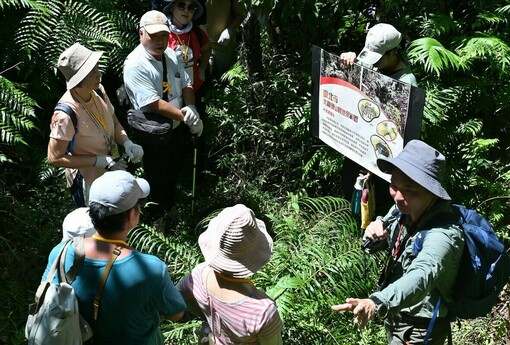 大崙頭山森活體驗課10/2開放報名 親子走進台北公有林 體驗森林永續經營