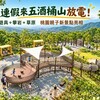 中秋連假來去五酒桶山！森林遊具、攀岩、草原一次玩　桃園多一個親子放電新選擇
