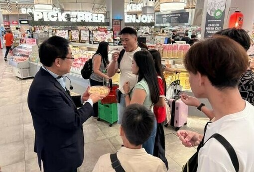 臺南文旦前進新加坡！黃偉哲聯手童振源大使 獅城試吃推廣掀起搶購熱潮