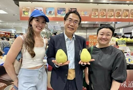 臺南文旦進軍新加坡！超市、百貨同步上架　麻豆老欉文旦拓展海外市場
