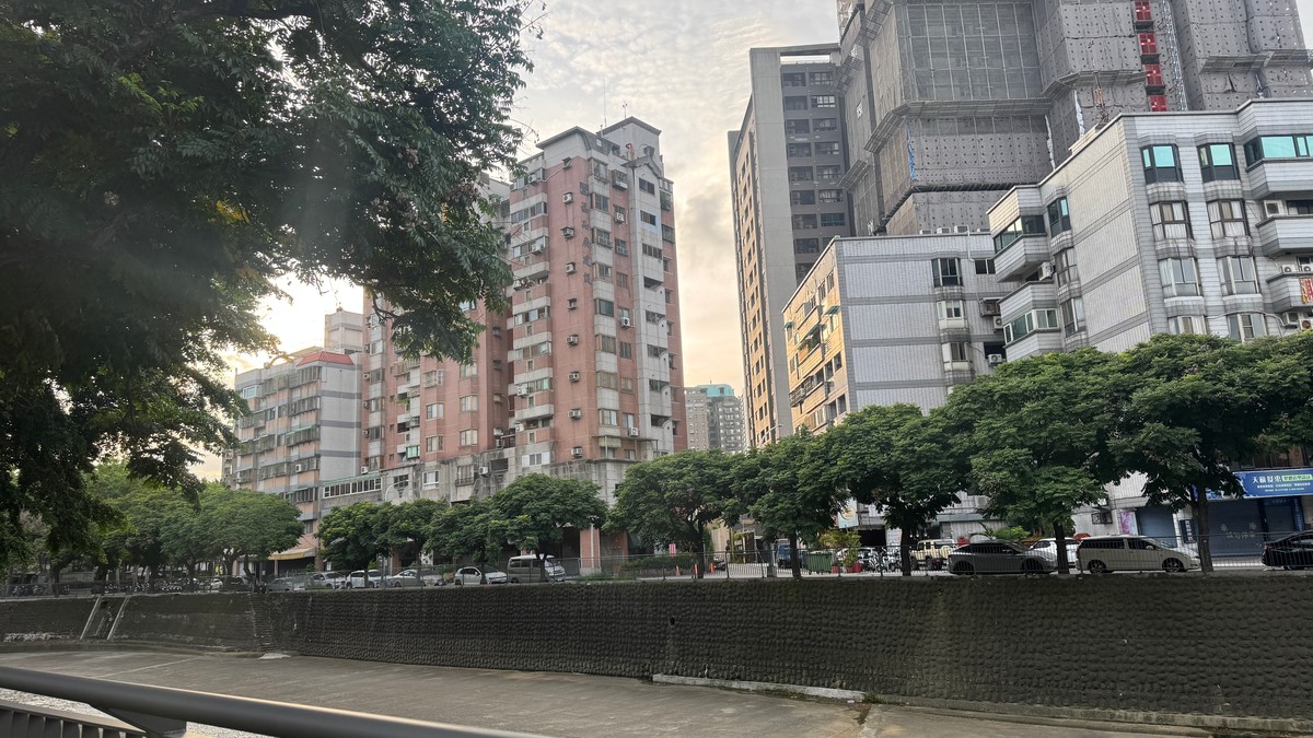 「砍樹當日常、種樹當政績！台灣都市綠化 根本是『先破壞再表演』」