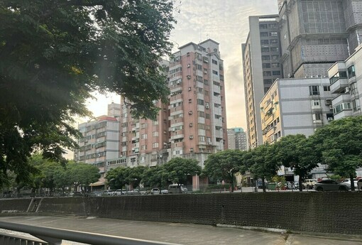 「砍樹當日常、種樹當政績！台灣都市綠化 根本是『先破壞再表演』」