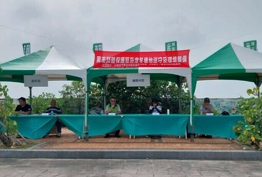 黑面琵鷺準備來臺度冬！臺南啟動救傷演練　公私協力守護候鳥安全