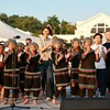 南投茶博人氣、買氣都升溫!「馬拉桑千人野餐趣」登場 銷售額累計突破1.3億元