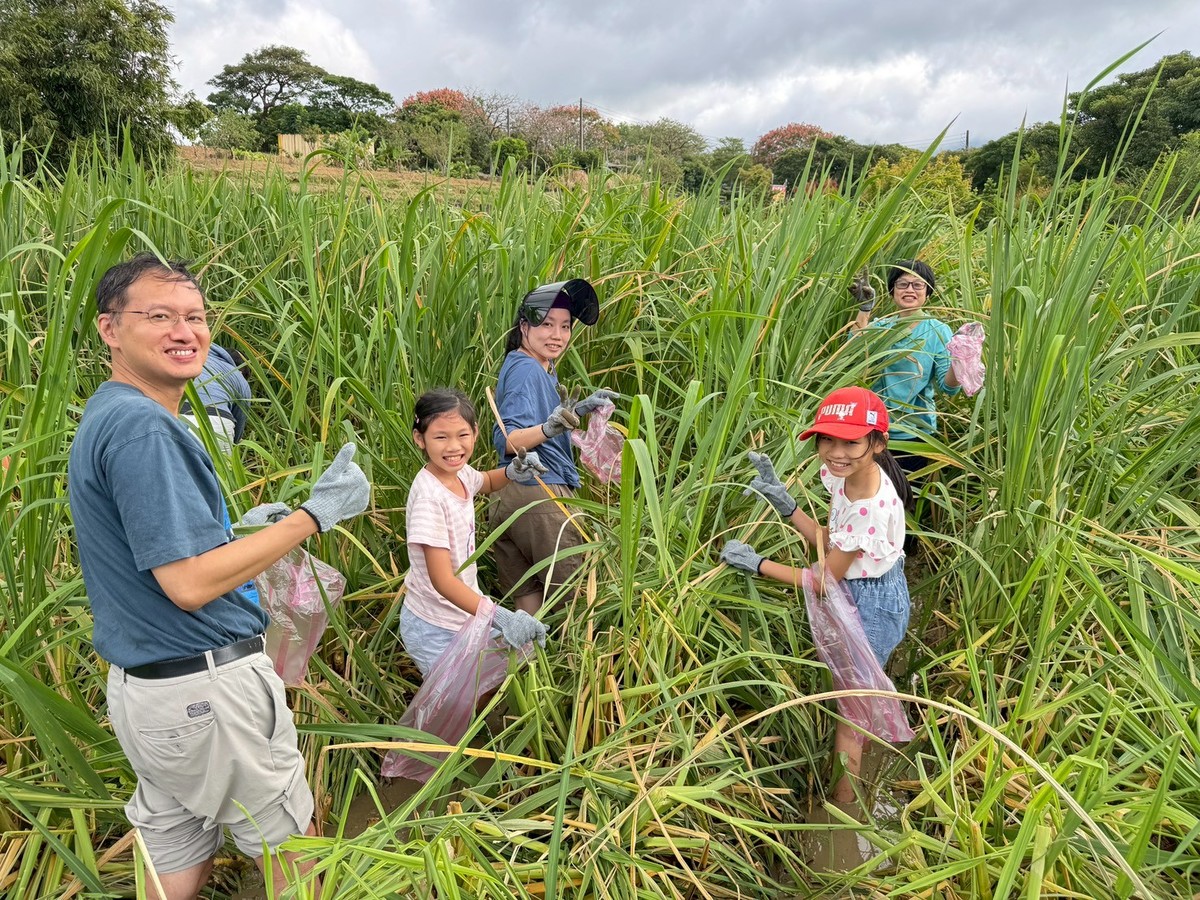 三芝茭白筍產季來了！「芝心茭陪藝遊趣」一日小旅行 10/24、10/31限額20人