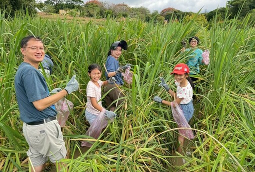 三芝茭白筍產季來了！「芝心茭陪藝遊趣」一日小旅行 10/24、10/31限額20人