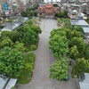 艋舺公園大蛻變！「OPEN UP」開園啟用 減法美學打通百年動線盲區
