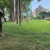 宜蘭縣啟動重購退稅清查！5年內違規「追繳退稅款」 10月底前全面稽查