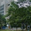 地價稅自用住宅優惠稅率申請要點說明