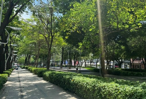 澄清湖特區崛起！高雄「隱形富人聚落」低調吸金