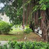 買農地當心踩雷！苗栗縣府籲申請「無套繪證明」保權益