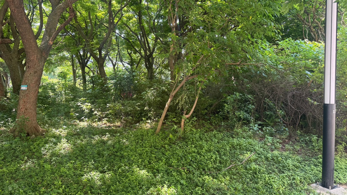 原住民保留地貸款9月上路，終結『有土無財』的世代困境